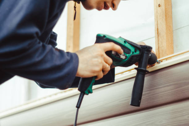 Best Custom Siding Design  in Homestead, PA